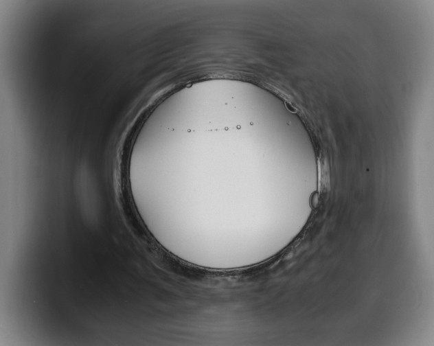 X0000100310291200806051334