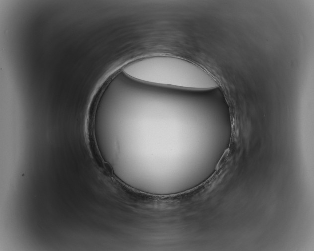 X0000100310292200806051334