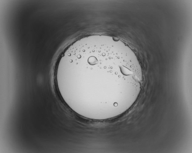X0000100310293200806051334