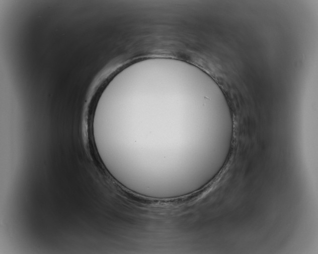X0000100310294200806051334