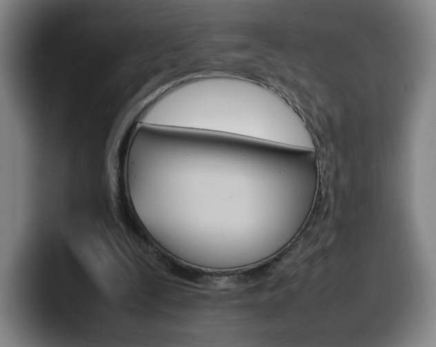 X0000100310295200806051334