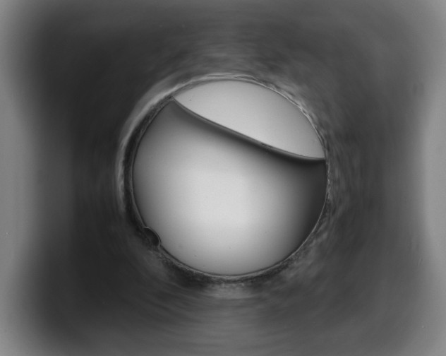 X0000100310296200806051334