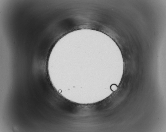 X0000100310297200806051334