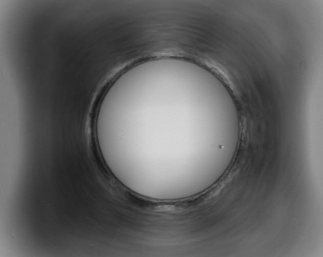 X0000100310298200806051334