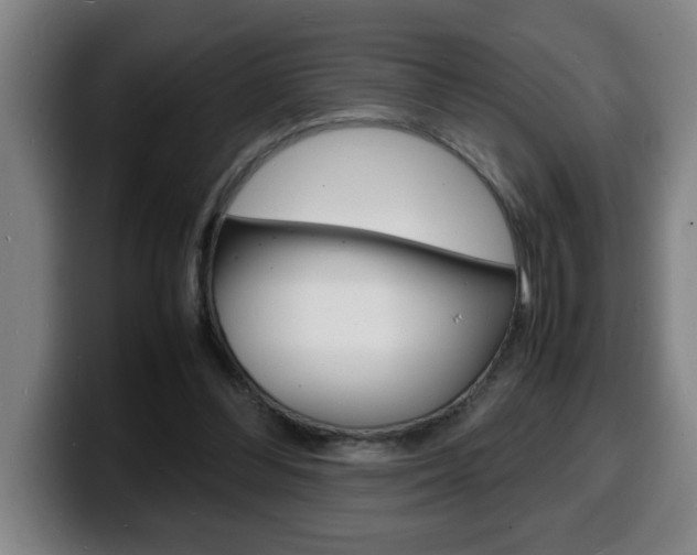 X0000100310300200806051334