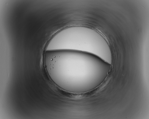 X0000100310301200806051334