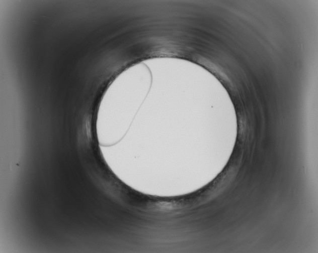 X0000100310302200806051334