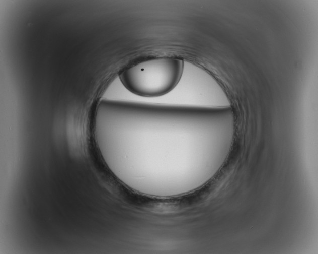 X0000100310303200806051334