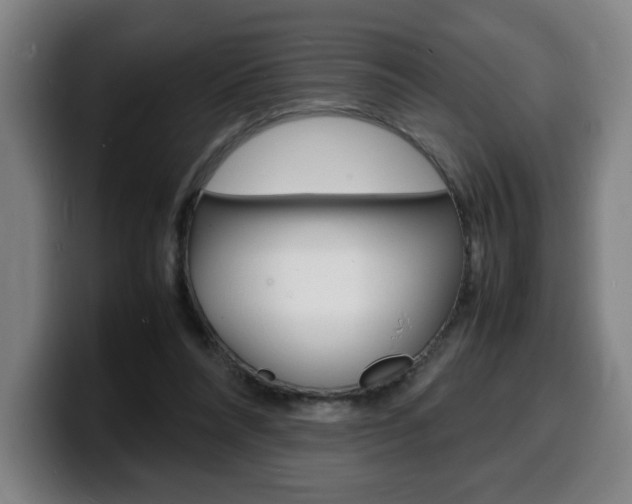 X0000100310304200806051334