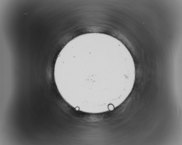 X0000100310305200806051334