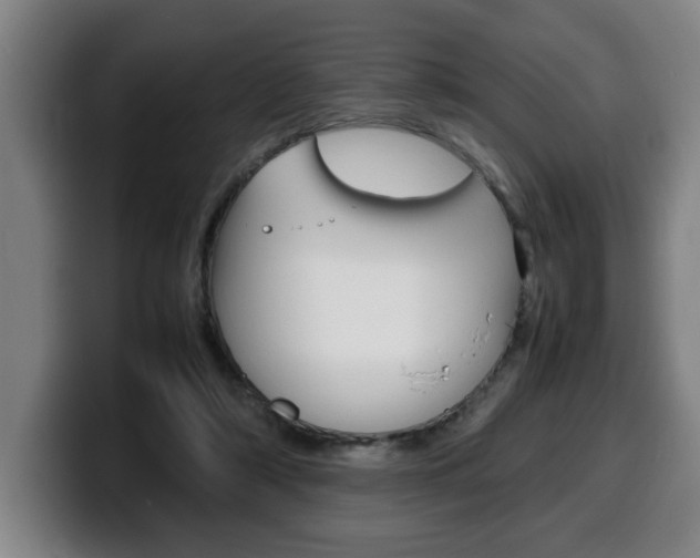 X0000100310306200806051334