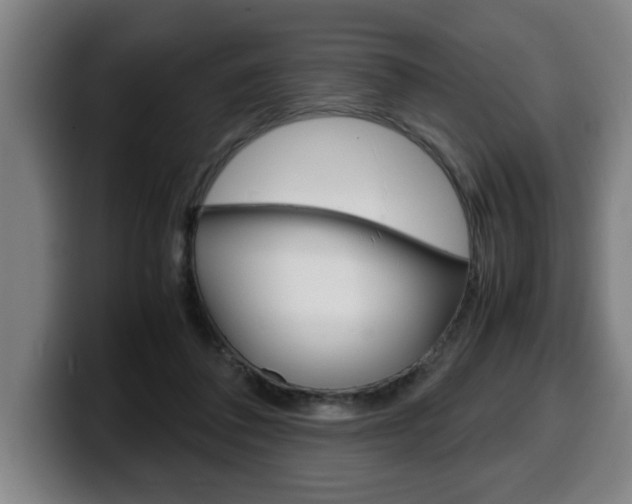 X0000100310308200806051334