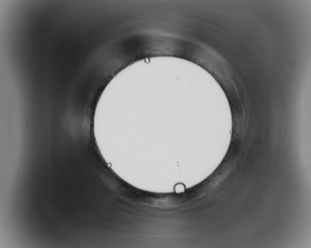 X0000100310309200806051334