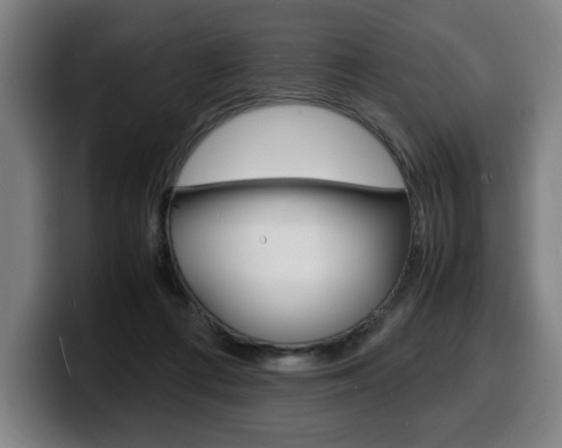 X0000100310312200806051334