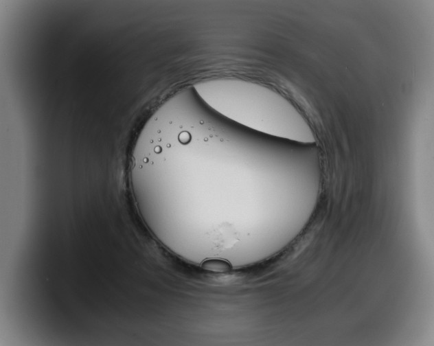 X0000100310313200806051334