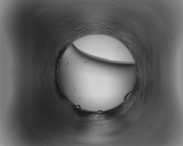X0000100310319200806051334