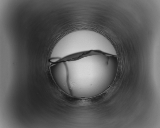 X0000100310320200806051334