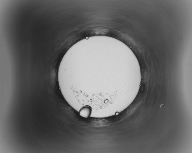 X0000100310321200806051334