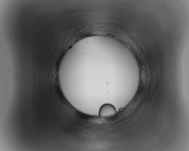 X0000100310322200806051334