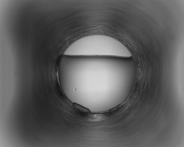 X0000100310324200806051334