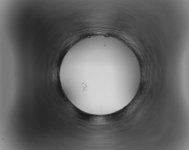 X0000100310325200806051334