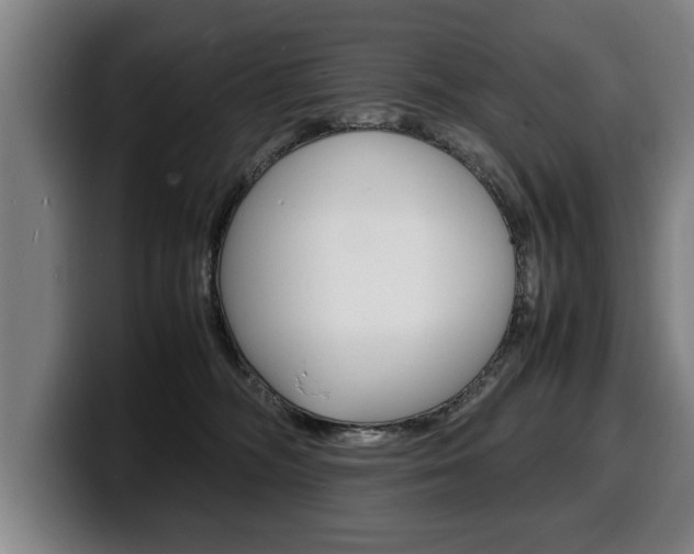 X0000100310326200806051334