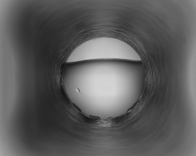 X0000100310328200806051334