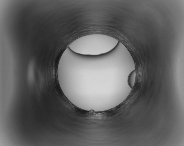 X0000100310330200806051334