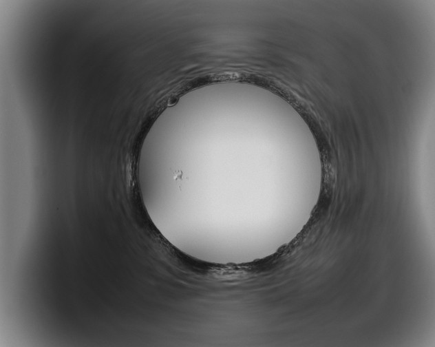 X0000100310331200806051334