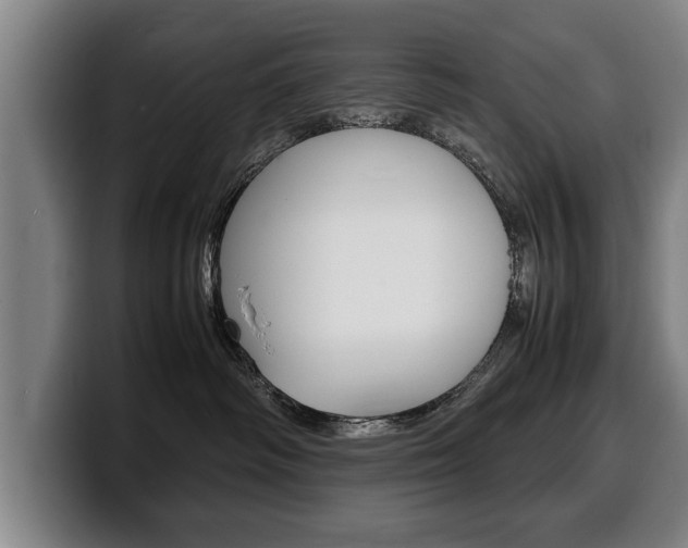 X0000100310334200806051334