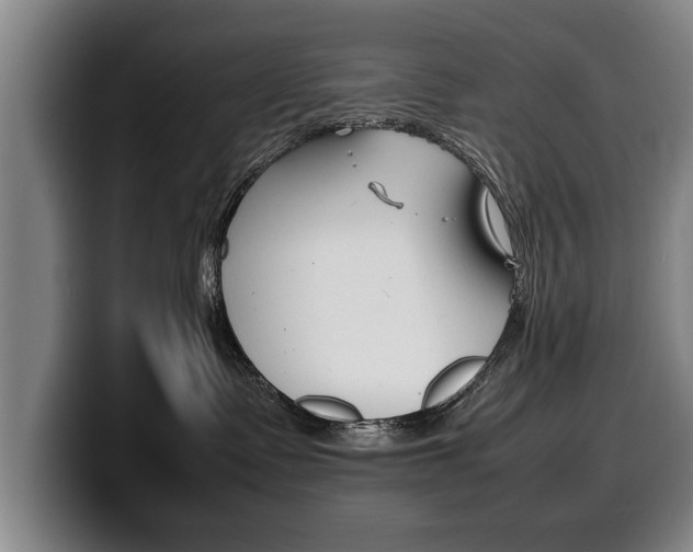 X0000100310335200806051334