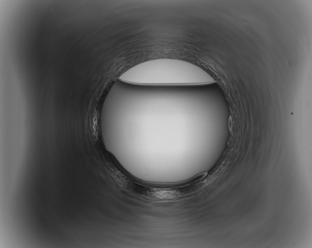 X0000100310336200806051334