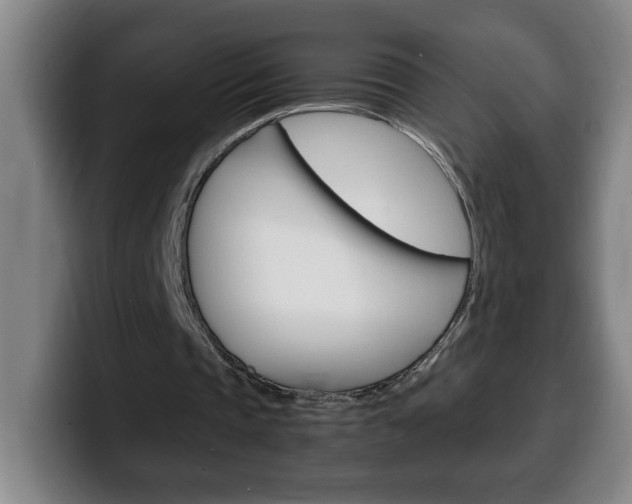 X0000100310337200806051333