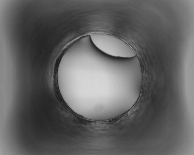 X0000100310338200806051333