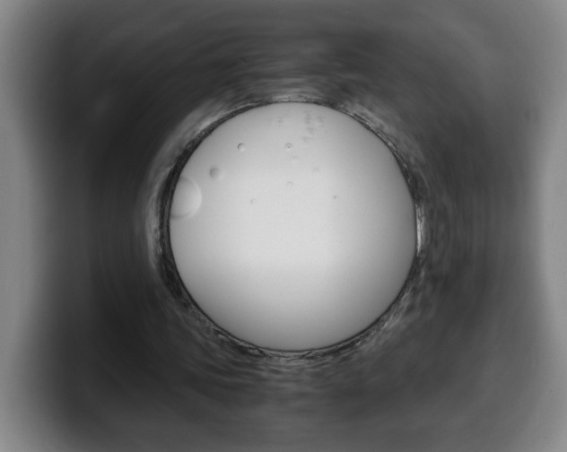 X0000100310339200806051333