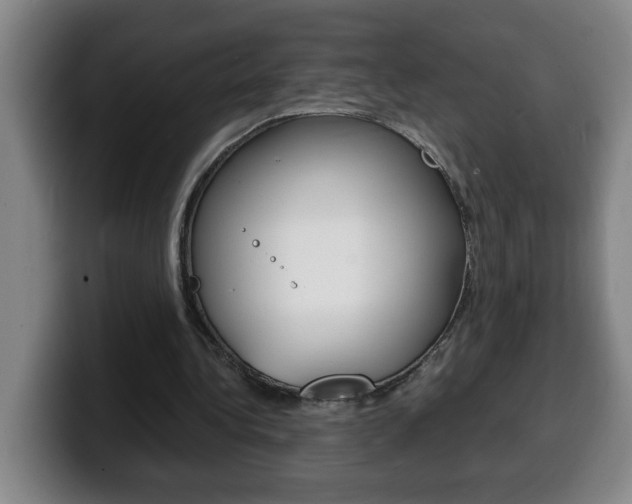 X0000100310340200806051333