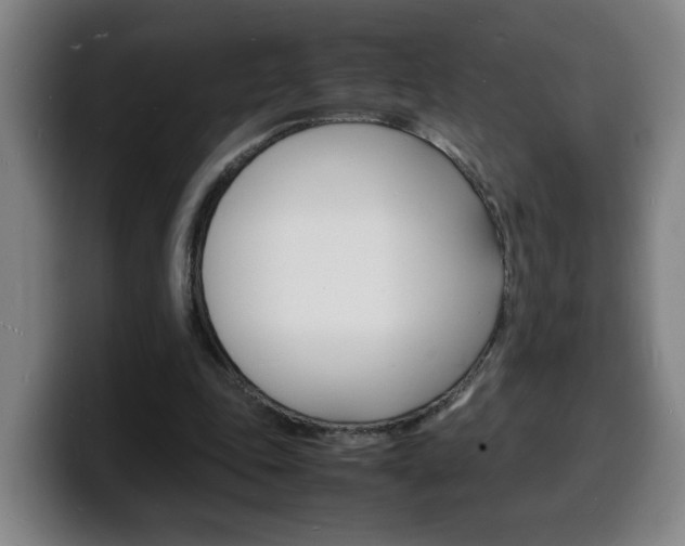 X0000100310343200806051333