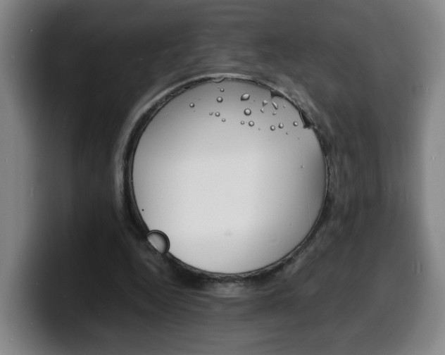 X0000100310344200806051333