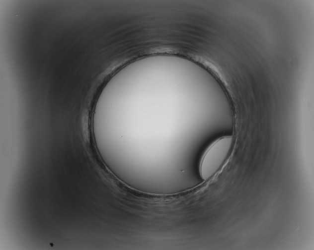 X0000100310345200806051333