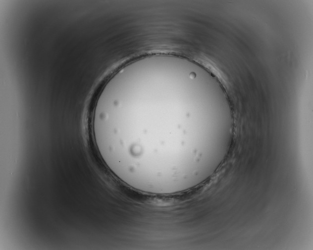 X0000100310346200806051333
