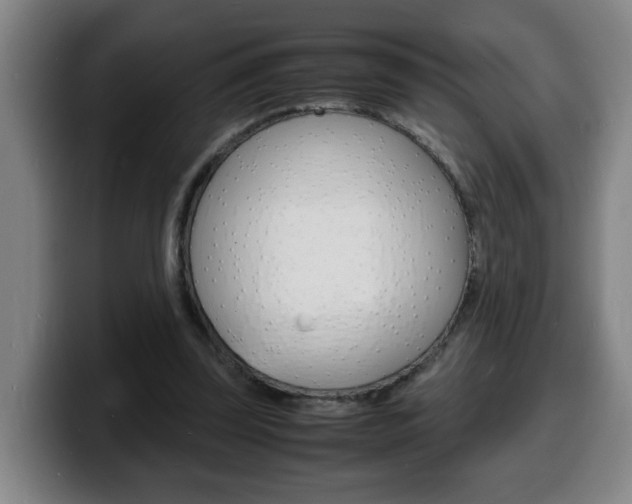 X0000100310347200806051333