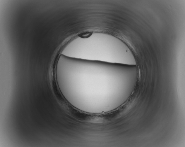 X0000100310348200806051333