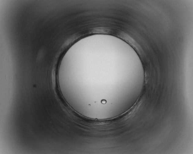 X0000100310349200806051333