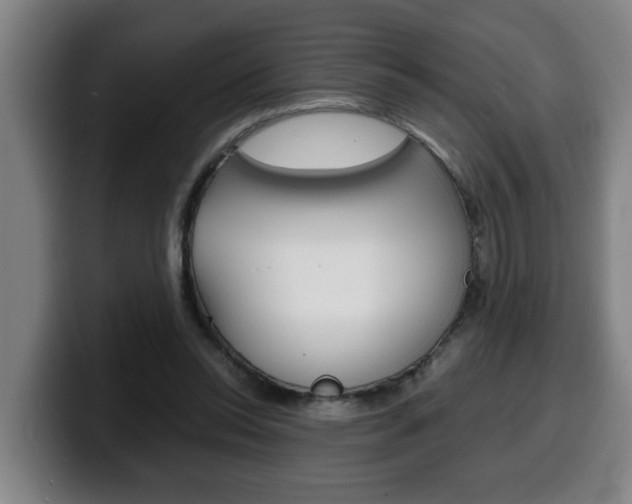 X0000100310350200806051333
