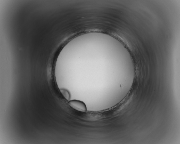 X0000100310351200806051333