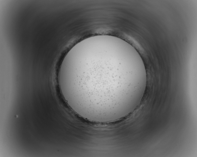 X0000100310354200806051333