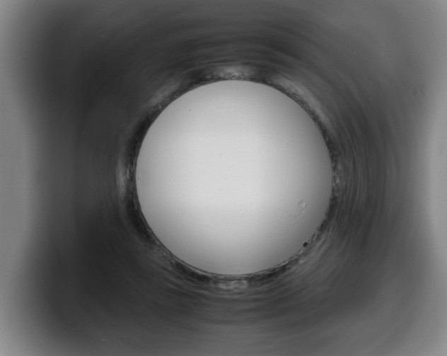 X0000100310355200806051333