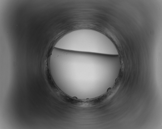 X0000100310356200806051333