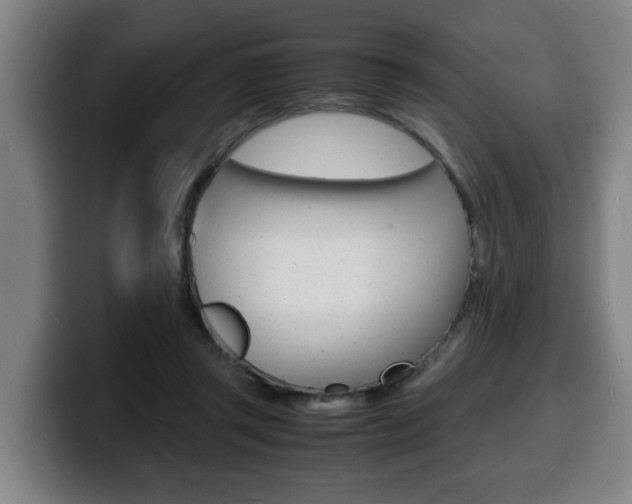 X0000100310357200806051333