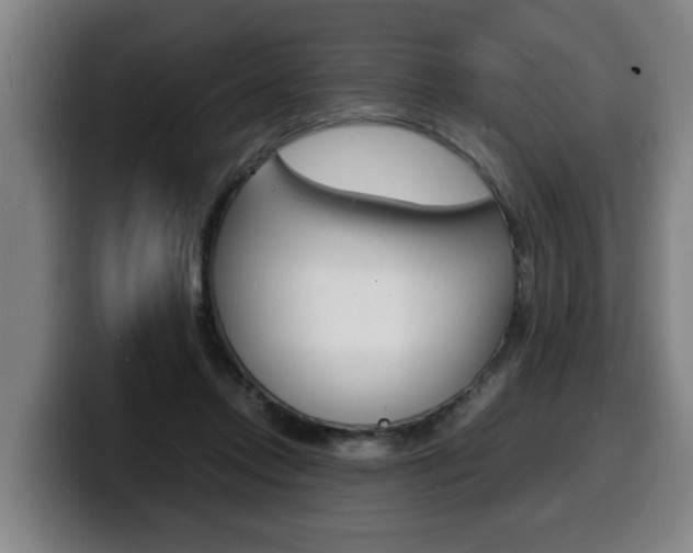 X0000100310358200806051333